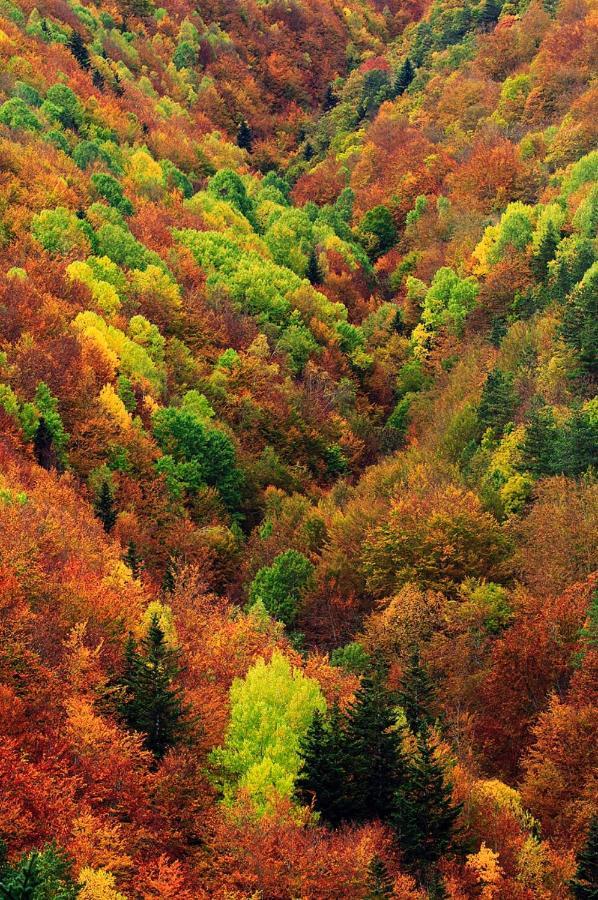 Casita Pelopin Villa Frajen Bagian luar foto